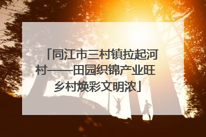 同江市三村镇拉起河村——田园织锦产业旺 乡村焕彩文明浓