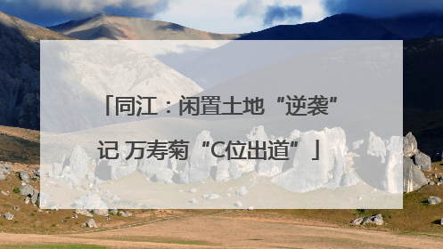 同江：闲置土地“逆袭”记 万寿菊“C位出道”
