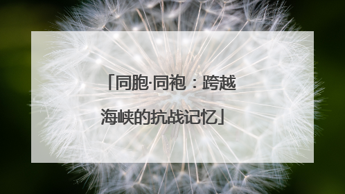 同胞·同袍：跨越海峡的抗战记忆