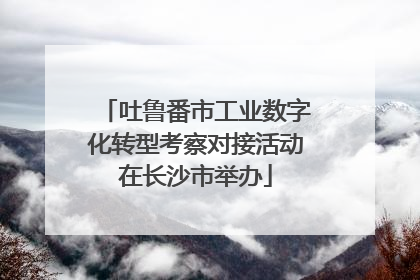 吐鲁番市工业数字化转型考察对接活动在长沙市举办
