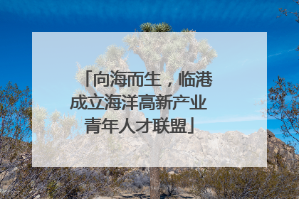 向海而生，临港成立海洋高新产业青年人才联盟