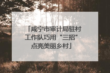 咸宁市审计局驻村工作队巧用“三招”点亮美丽乡村