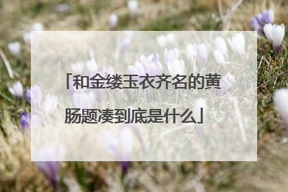 和金缕玉衣齐名的黄肠题凑到底是什么