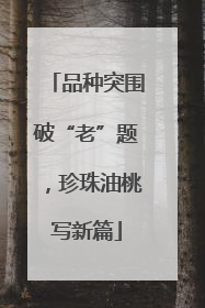 品种突围破“老”题，珍珠油桃写新篇