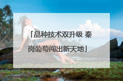 品种技术双升级 秦岗葡萄闯出新天地