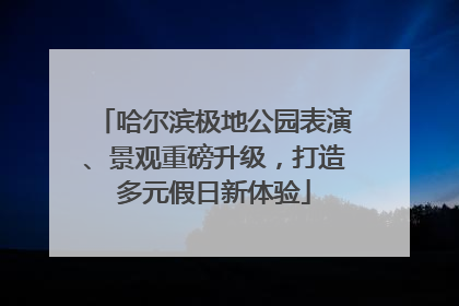 哈尔滨极地公园表演、景观重磅升级，打造多元假日新体验