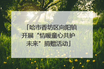 哈市香坊区向阳镇开展“情暖童心共护未来”捐赠活动