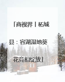商视界丨柘城县：容湖湿地葵花竞相绽放