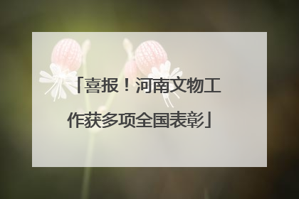 喜报！河南文物工作获多项全国表彰