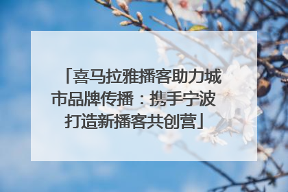 喜马拉雅播客助力城市品牌传播：携手宁波打造新播客共创营