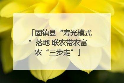固镇县“寿光模式”落地 联农带农富农“三步走”