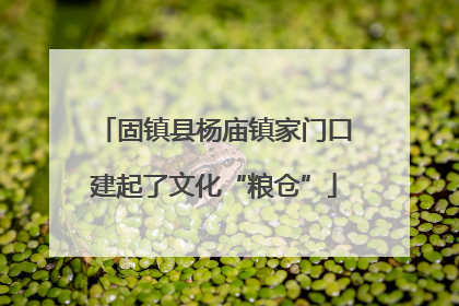 固镇县杨庙镇家门口建起了文化“粮仓”