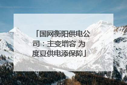 国网衡阳供电公司：主变增容 为度夏供电添保障