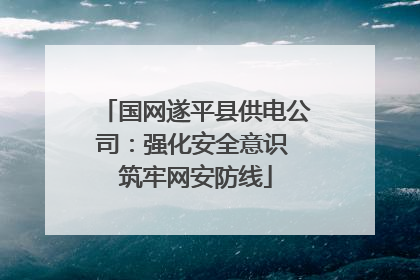 国网遂平县供电公司：强化安全意识 筑牢网安防线