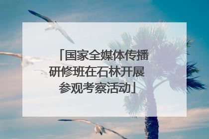 国家全媒体传播研修班在石林开展参观考察活动