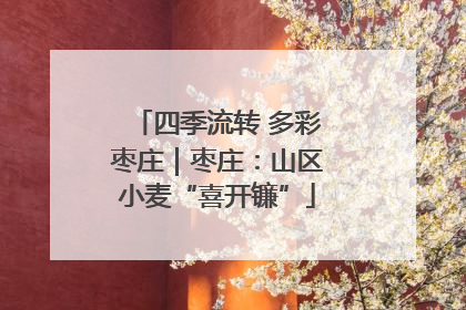 四季流转 多彩枣庄｜枣庄：山区小麦“喜开镰”