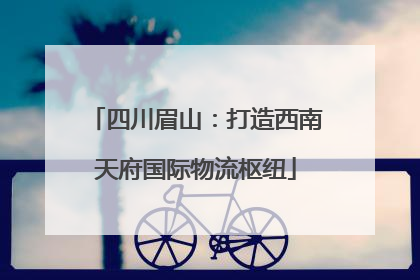 四川眉山：打造西南天府国际物流枢纽