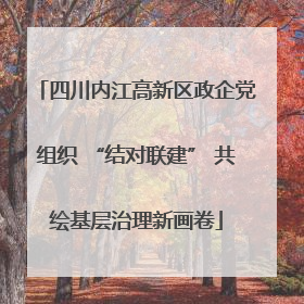 四川内江高新区政企党组织 “结对联建” 共绘基层治理新画卷