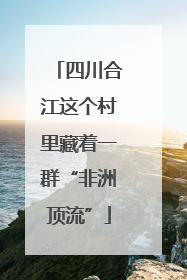 四川合江这个村里藏着一群“非洲顶流”