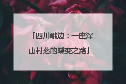 四川峨边：一座深山村落的蝶变之路