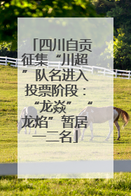 四川自贡征集“川超”队名进入投票阶段：“龙焱”“龙焰”暂居一二名