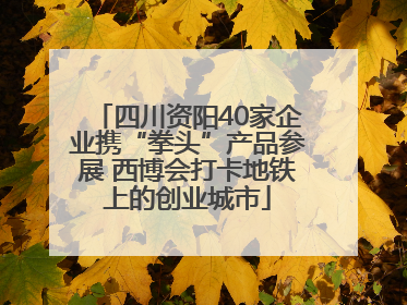 四川资阳40家企业携“拳头”产品参展 西博会打卡地铁上的创业城市