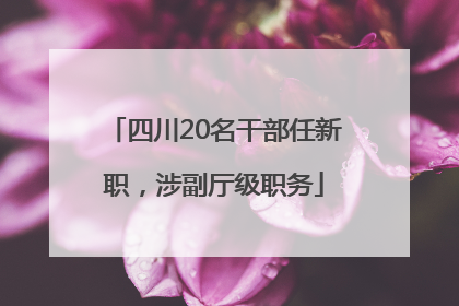 四川20名干部任新职，涉副厅级职务