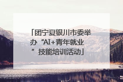 团宁夏银川市委举办“AI+青年就业”技能培训活动