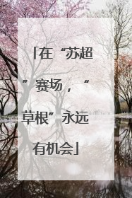 在“苏超”赛场，“草根”永远有机会