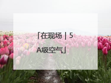 在现场｜5A级空气
