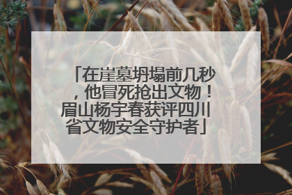 在崖墓坍塌前几秒，他冒死抢出文物！眉山杨宇春获评四川省文物安全守护者