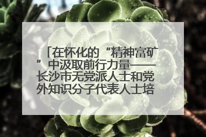 在怀化的“精神富矿”中汲取前行力量——长沙市无党派人士和党外知识分子代表人士培训班在怀化圆满举办