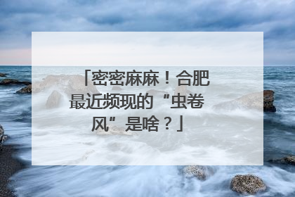 密密麻麻！合肥最近频现的“虫卷风”是啥？