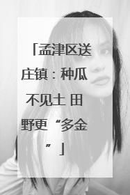 孟津区送庄镇：种瓜不见土 田野更“多金”