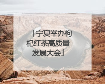 宁夏举办枸杞红茶高质量发展大会