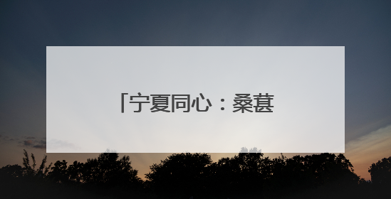 宁夏同心：桑葚丰收季 甜蜜采摘助力乡村振兴
