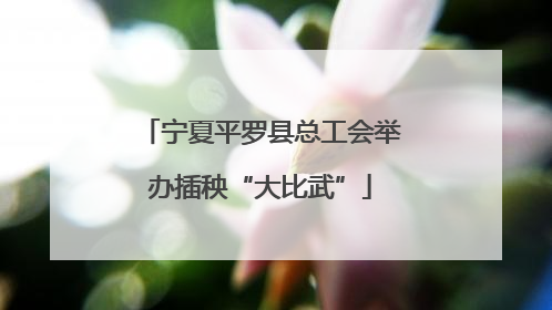 宁夏平罗县总工会举办插秧“大比武”