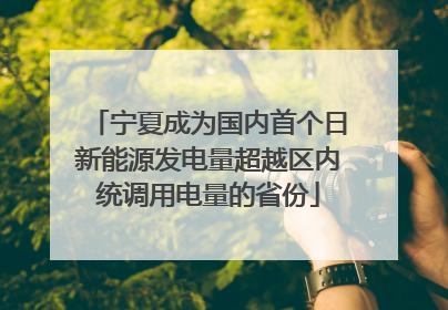 宁夏成为国内首个日新能源发电量超越区内统调用电量的省份