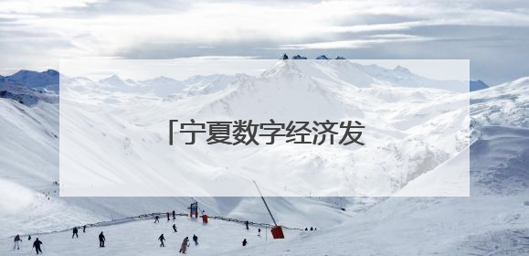 宁夏数字经济发展跑出加速度