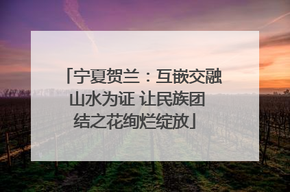 宁夏贺兰：互嵌交融 山水为证 让民族团结之花绚烂绽放