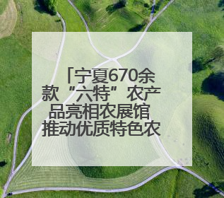宁夏670余款“六特”农产品亮相农展馆 推动优质特色农产品“出宁进京”
