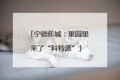 宁德蕉城：果园里来了“科特派”