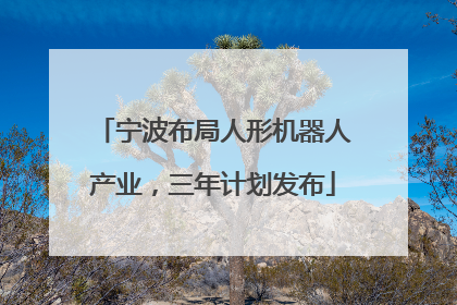 宁波布局人形机器人产业，三年计划发布