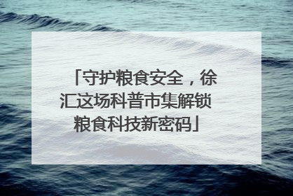 守护粮食安全，徐汇这场科普市集解锁粮食科技新密码