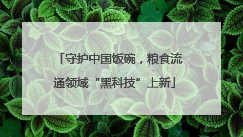 守护中国饭碗，粮食流通领域“黑科技”上新