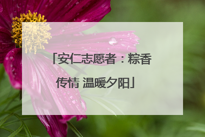 安仁志愿者：粽香传情 温暖夕阳