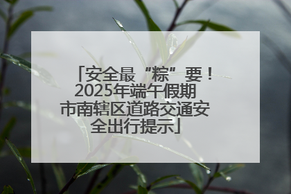 安全最“粽”要！2025年端午假期市南辖区道路交通安全出行提示