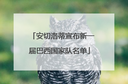 安切洛蒂宣布新一届巴西国家队名单
