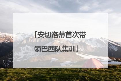 安切洛蒂首次带领巴西队集训