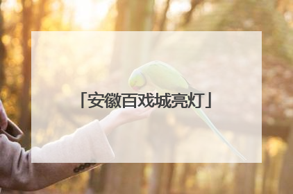 安徽百戏城亮灯